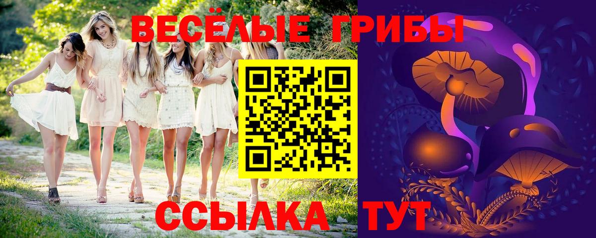 Галлюциногенные грибы GOLDEN TEACHER Медногорск