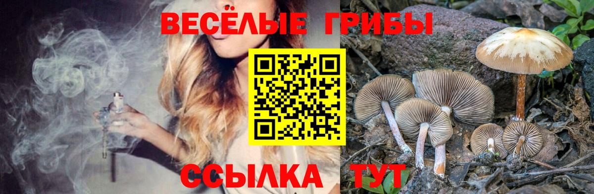 Псилоцибиновые грибы мухоморы  Вход с VPN  Медногорск 
